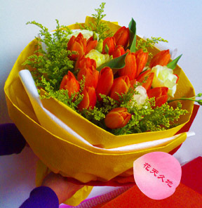 上海曹家渡同城鲜花速递祝福派对生日送花红色郁金香19朵花束订花