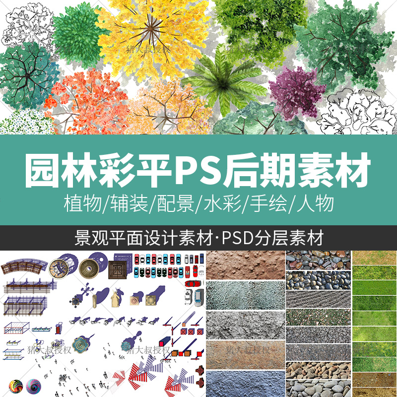 园林景观彩平图PSD素材植物手绘辅装PS后期立面平面图设计效果图