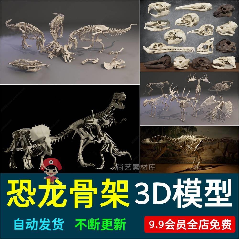 现代恐龙骨架恐龙化石三角龙霸王龙麋鹿鸵鸟头骨头动物标本3D模型