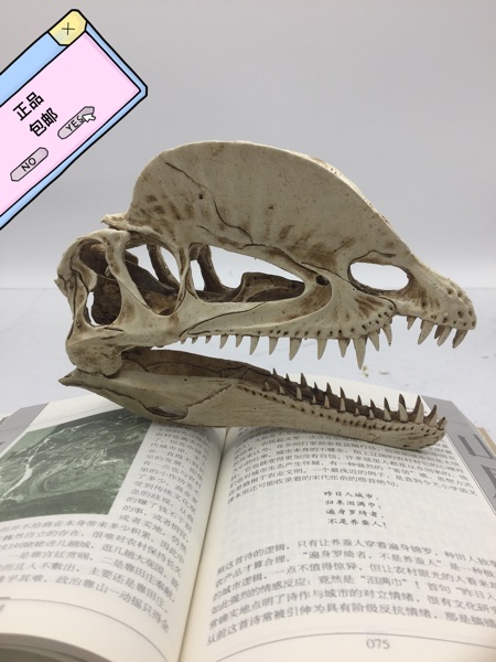 侏罗纪仿真恐龙双冠龙霸王龙化石骨骼双脊龙暴龙头骨模型19cm包邮