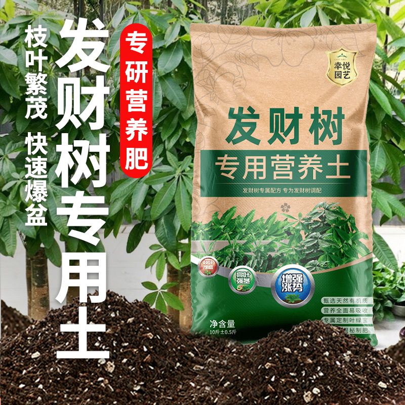 种养发财树专用土营养土花土盆栽土壤发财树肥料专用肥泥土种植土