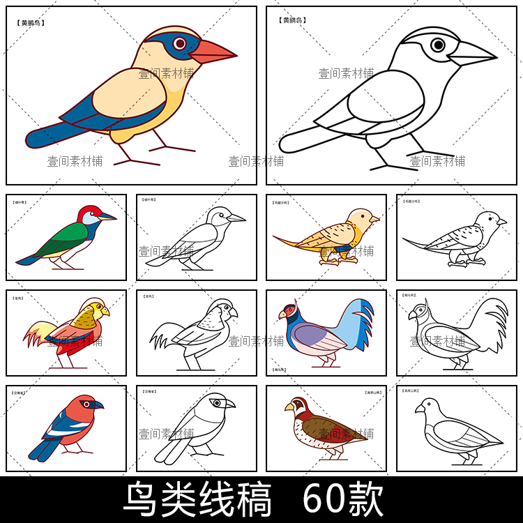 TS41鸟类小鸟简笔画啄木鸟麻雀鸽子喜鹊动物线稿幼儿涂色线描素材