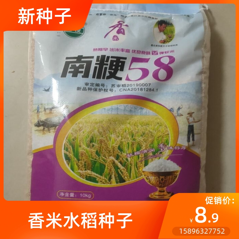水稻种籽南粳58水稻种子优质高产稻谷圆粒种子品种亩产高抗倒现货