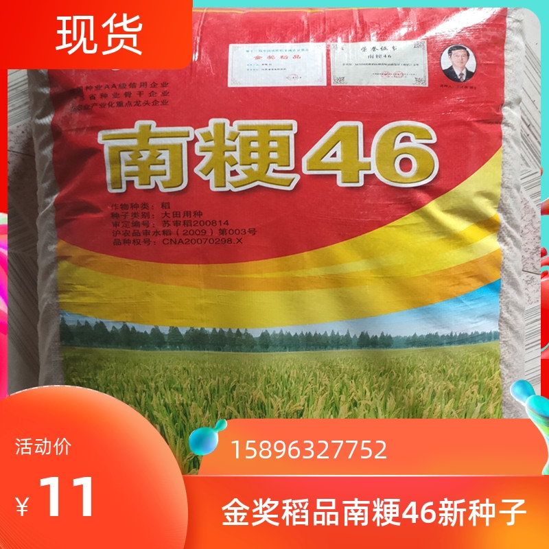 水稻种子南粳46稻谷种籽优质高产圆粒香米种子品种亩产高达1400斤