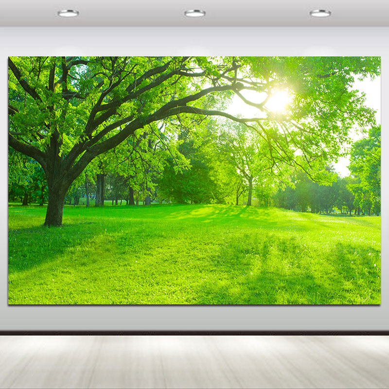 树林风景画森林大树墙贴画阳光森林草地客厅装饰画书房绿色护眼画