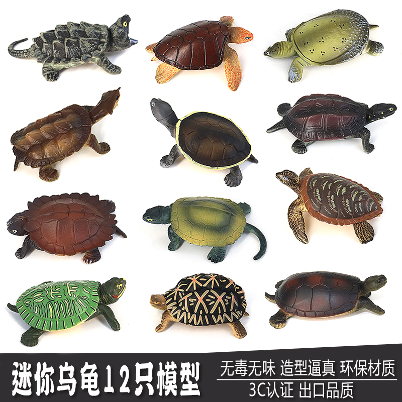可爱仿真迷你乌龟大全模型陆龟玩具海洋动物海龟套装实心儿童礼物