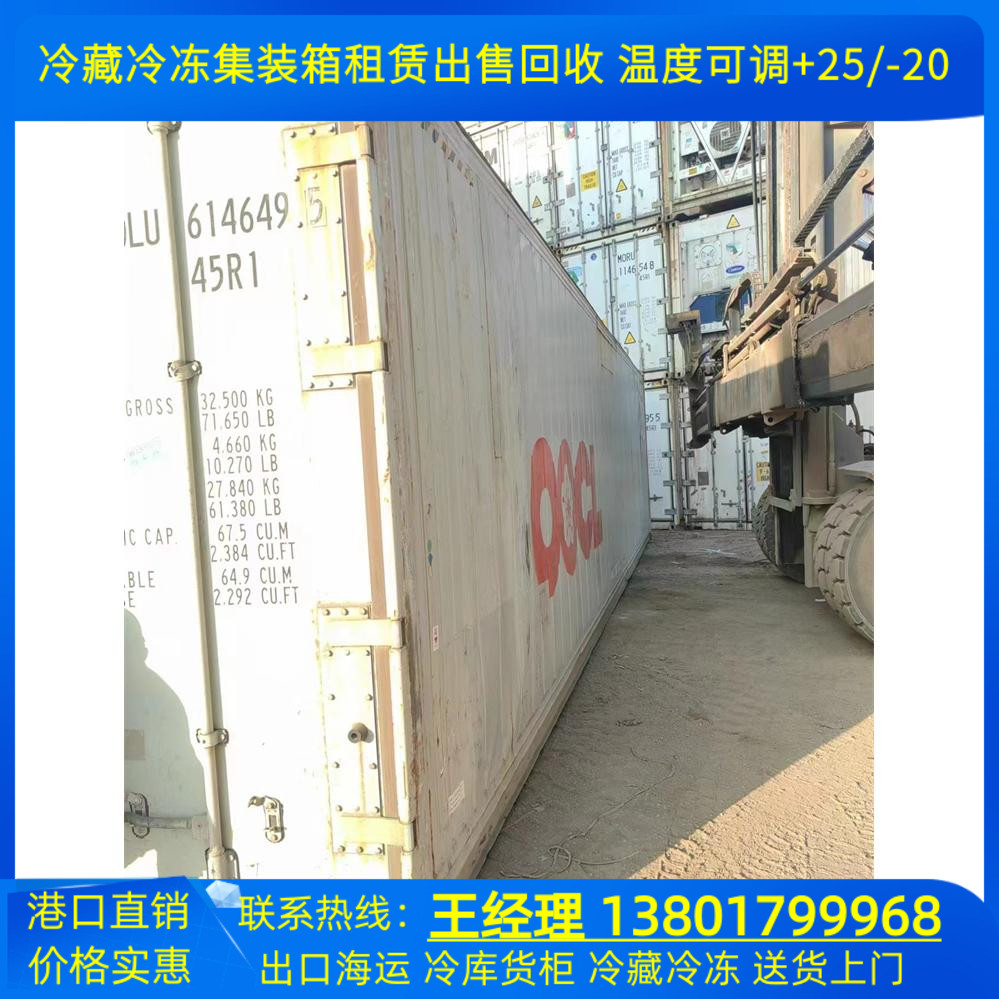 上海租赁出售移动冷库 冷藏冷冻海运集装箱 货柜集装箱仓库