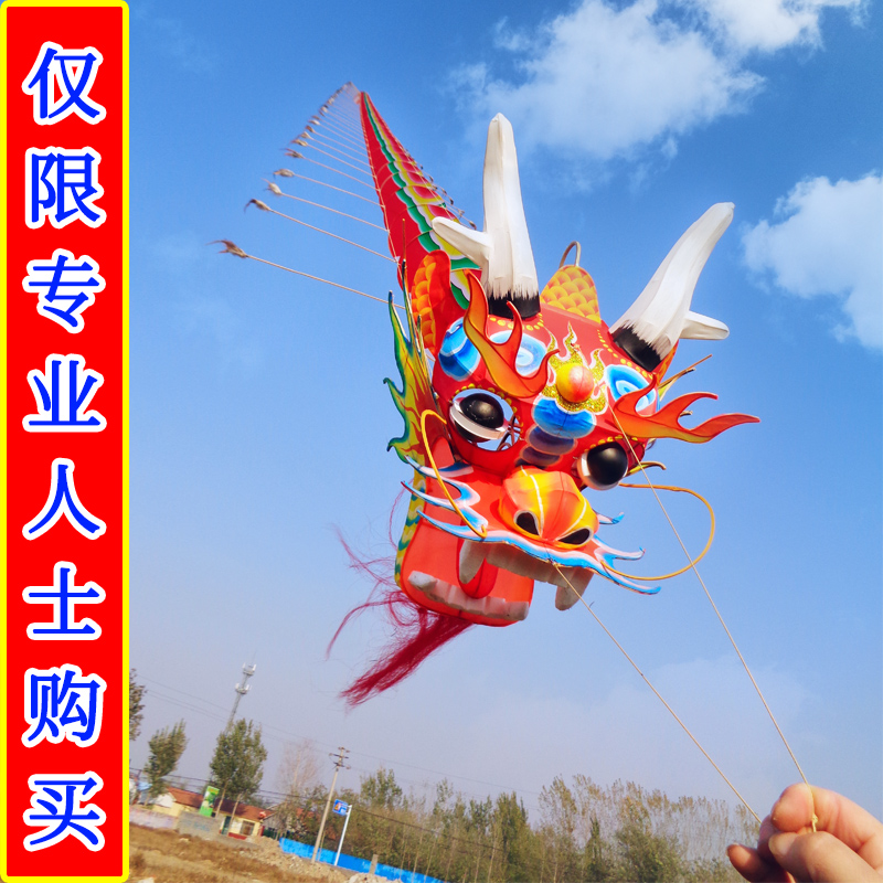 潍坊大型成人龙头蜈蚣风筝3d立体手绘 手工长串龙风筝定制定做