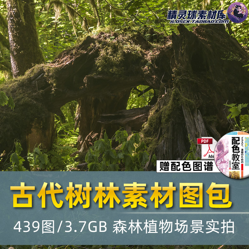 古代树林森林植物场景摄影4K高清艺术背景壁纸图片后期素材439张
