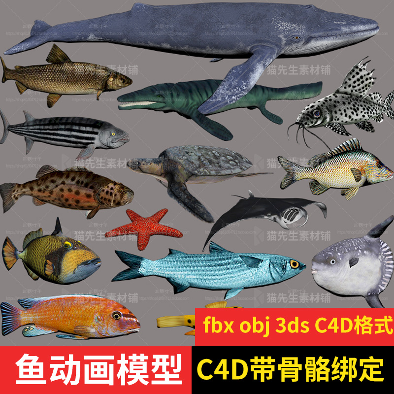 C4D max maya海洋动物模型带骨骼绑定贴图鲸鱼海豚海豹鱼游戏蒙皮