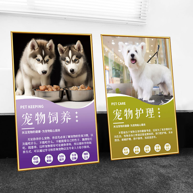 宠物动物店装饰画宠物常识定制宣传海报护理挂画动物诊所医院展板