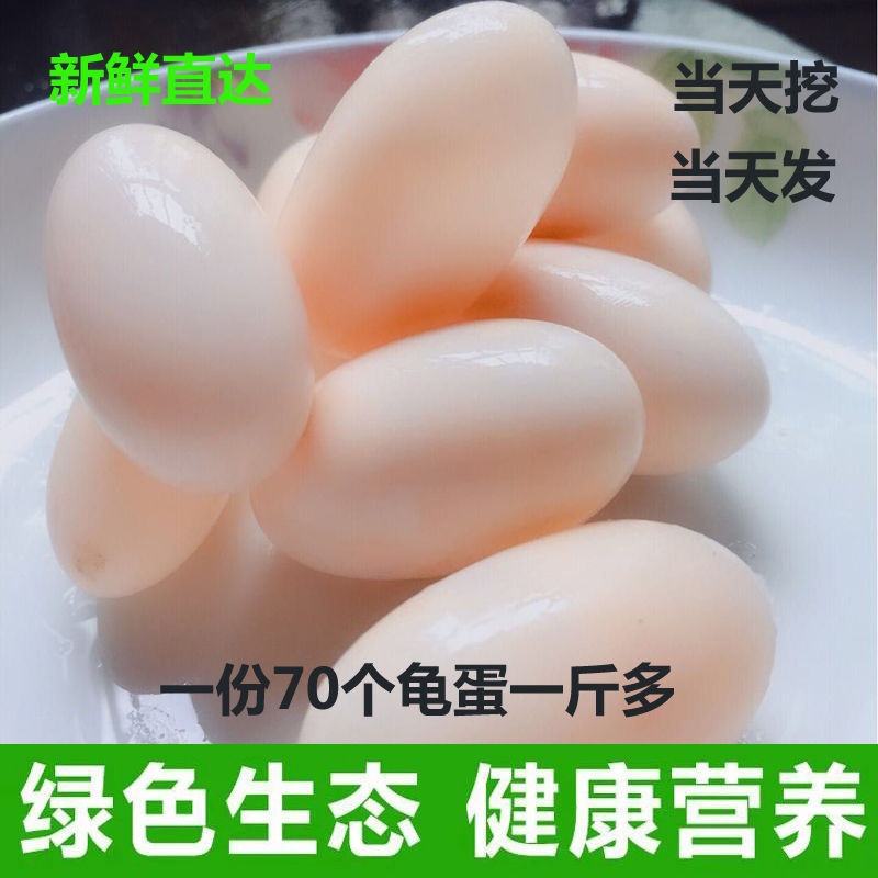 新鲜乌龟蛋食用70个一斤多草龟蛋王八甲鱼蛋宝宝辅食美容泡酒鳖蛋
