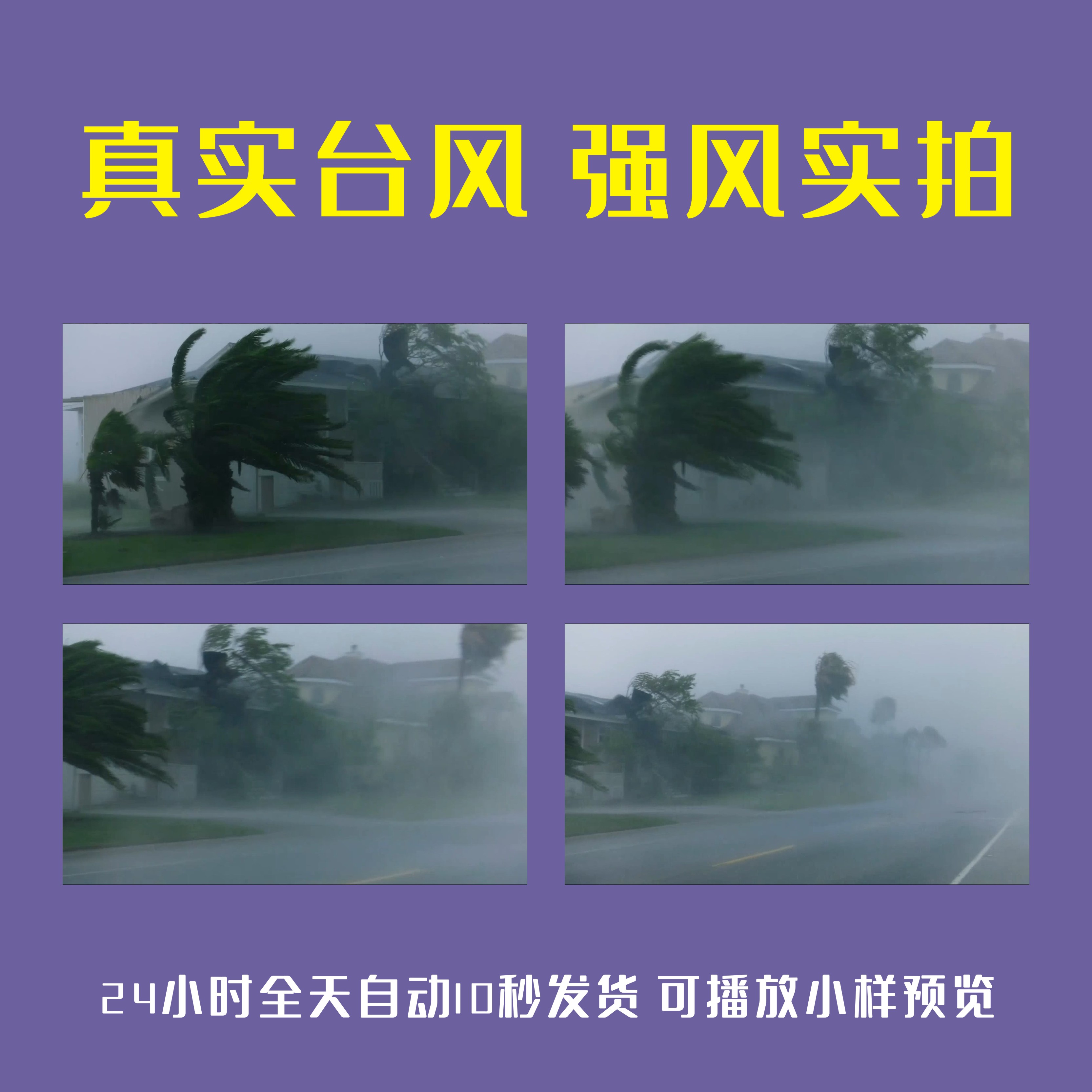 真实台风强风飓风大风实拍镜头一组狂风大作海啸恶劣天气视频素材