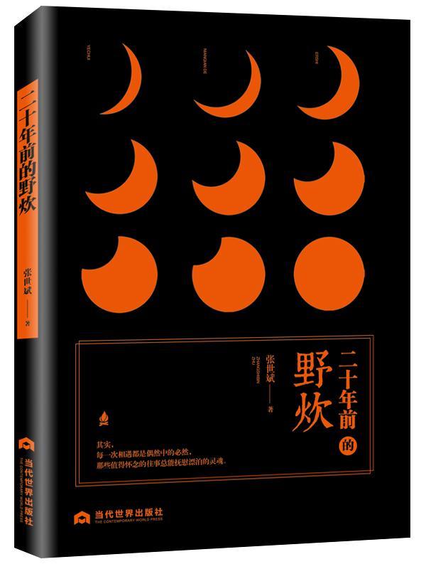 二十年前的野炊张世斌 长篇小说中国当代小说书籍