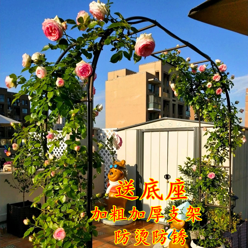 铁艺拱门花架爬藤架葡萄架花园月季攀爬花支架户外植物架子菜棚架