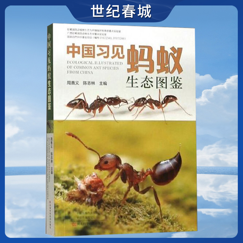 中国习见蚂蚁生态图鉴 蚂蚁形态特征 彩色生态图鉴 蚂蚁鉴别鉴赏图案真实图案图书 蚂蚁品种种类大全书籍HN