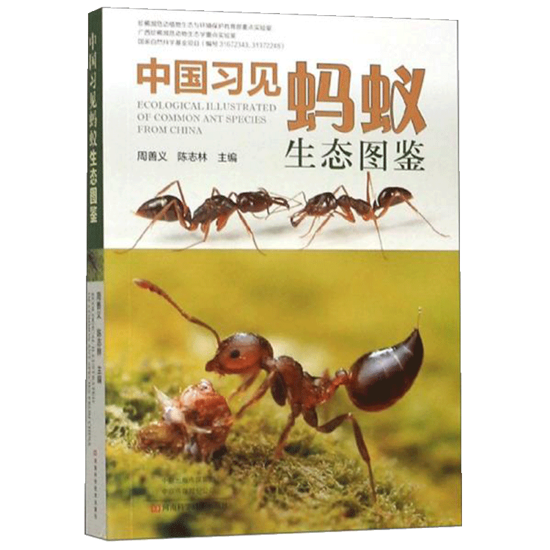 【全新正版】中国习见蚂蚁生态图鉴 蚂蚁形态特征 彩色生态图鉴 蚂蚁品种种类大全书籍 蚂蚁鉴别鉴赏图案真实图案畅销图书