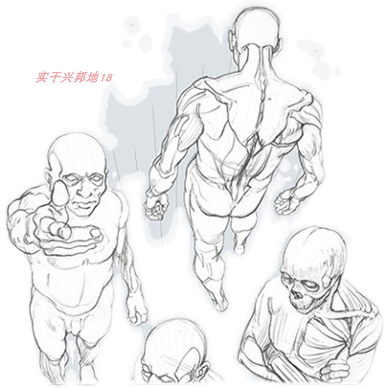 理解人体形态 美术素描速写绘画CG肌肉骨骼解剖 高清PDF+JPG素材