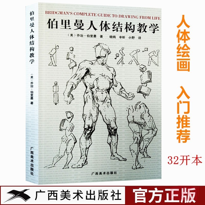 伯里曼人体结构教学32开本 理解人体形态人物绘画素描大师 人体骨骼肌肉解剖实用人体素描速写人物基础技法教程 铅笔人体速写临摹