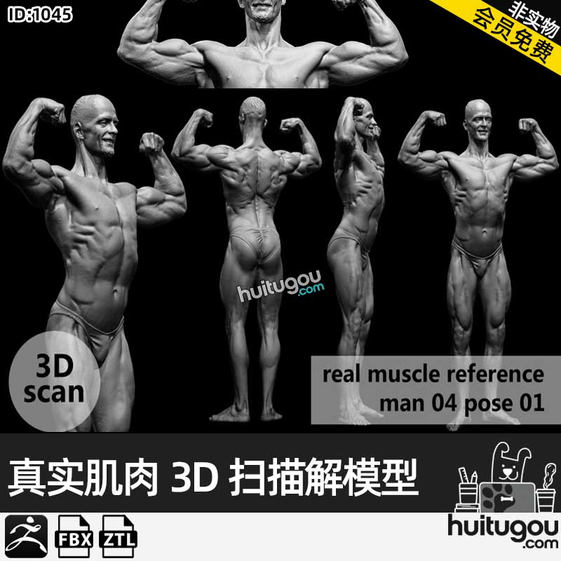 真实男性人体3D扫描解剖学姿势模型muscleanatomy Man04 pose 01