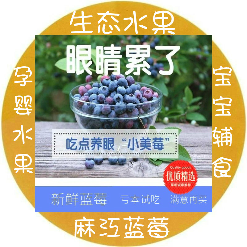 贵州麻江新鲜蓝莓时令果蔬野生大果孕婴宝宝辅食当季整箱水果包邮