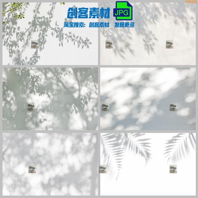 秒发树影植物投影树叶树枝阴影简约背景黑白墙面高清照片JPG设计