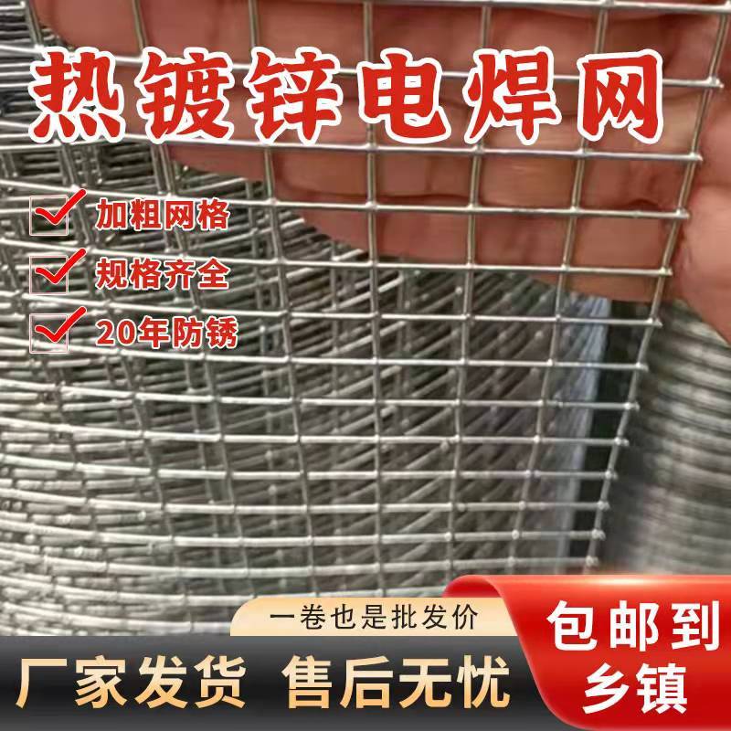 热镀防锈铁丝网玉米网围栏网鸡鸭鹅养殖网钢丝网护栏阳台防护网
