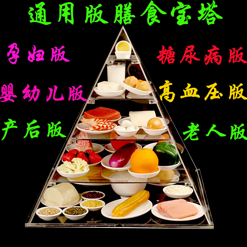 新版2022膳食宝塔食物模型中国居民平衡营养金字塔交换份模型仿真