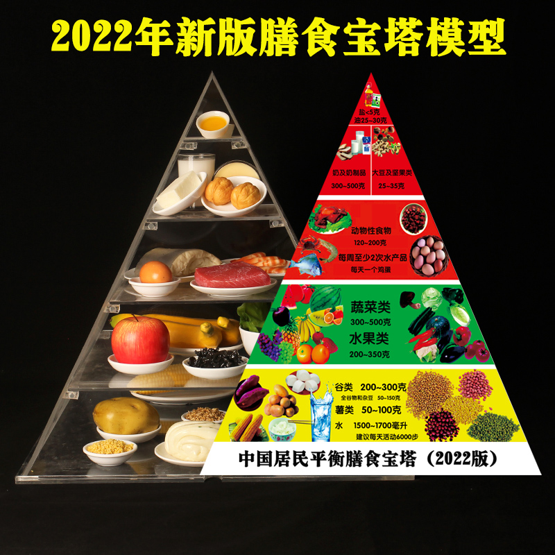2022新版中国居民膳食宝塔模型仿真食物平衡营养金字塔交换份道具