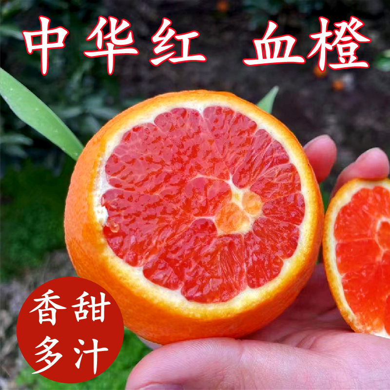 血橙中华红橙子湖北秭归出产5斤10斤20斤整箱送礼新鲜当季水果