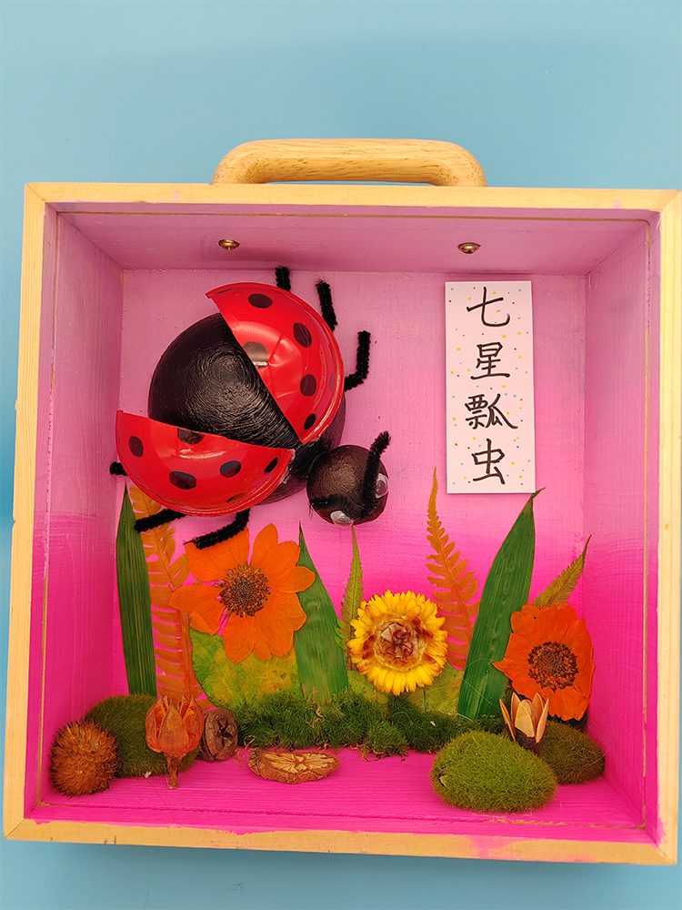 秋收立体手工创意美术玩具鞋盒里的创意丰收盒子坚果昆虫变废为宝