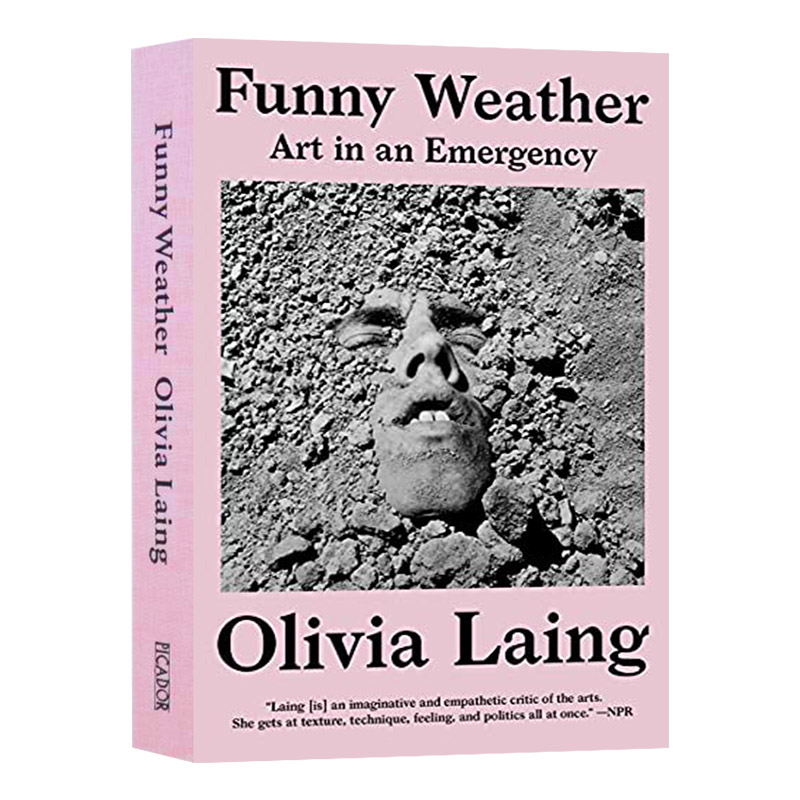 英文原版 Funny Weather: Art in an Emergency 搞笑天气 紧急情况下的艺术 奥利维娅莱恩 英文版 进口英语书籍