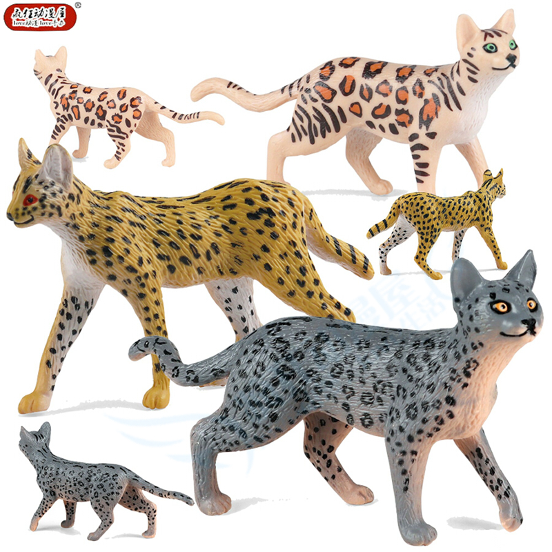 仿真野生动物模型孟加拉雪豹猫非洲薮猫虎猫摆件儿童早教认知玩具