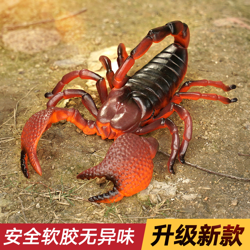 蝎子模型毒蝎玩具大号仿真昆虫儿童玩具动物蜘蛛蚱蜢瓢虫独角仙61