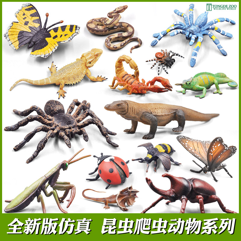 仿真昆虫模型 儿童玩具动物 蝴蝶蜜蜂蝎子蚱蜢螳螂蜻蜓蜘蛛蜥蜴