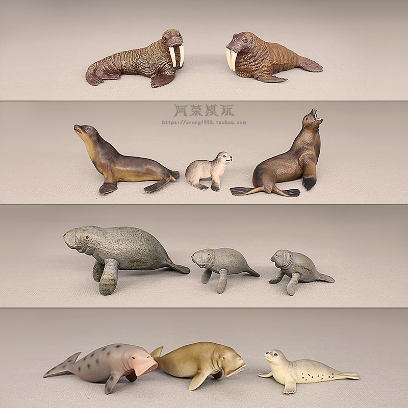 认知仿真海洋世界动物模型 海狮海豹海象海牛儒艮美人鱼摆件玩具