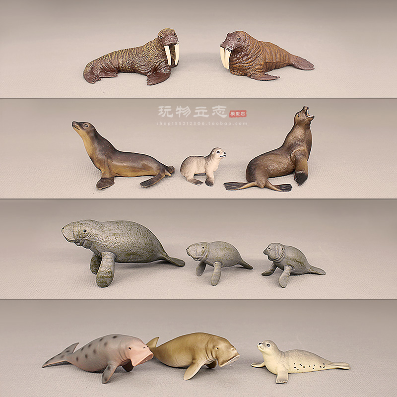 仿真海洋世界动物模型 海狮 海豹海象海牛儒艮美人鱼摆件认知玩具