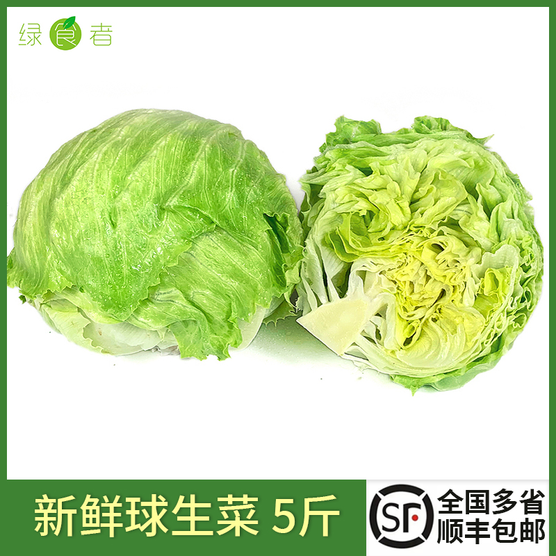 【绿食者】球生菜5斤 汉堡圆生菜西生菜西餐沙拉色拉食材新鲜蔬菜