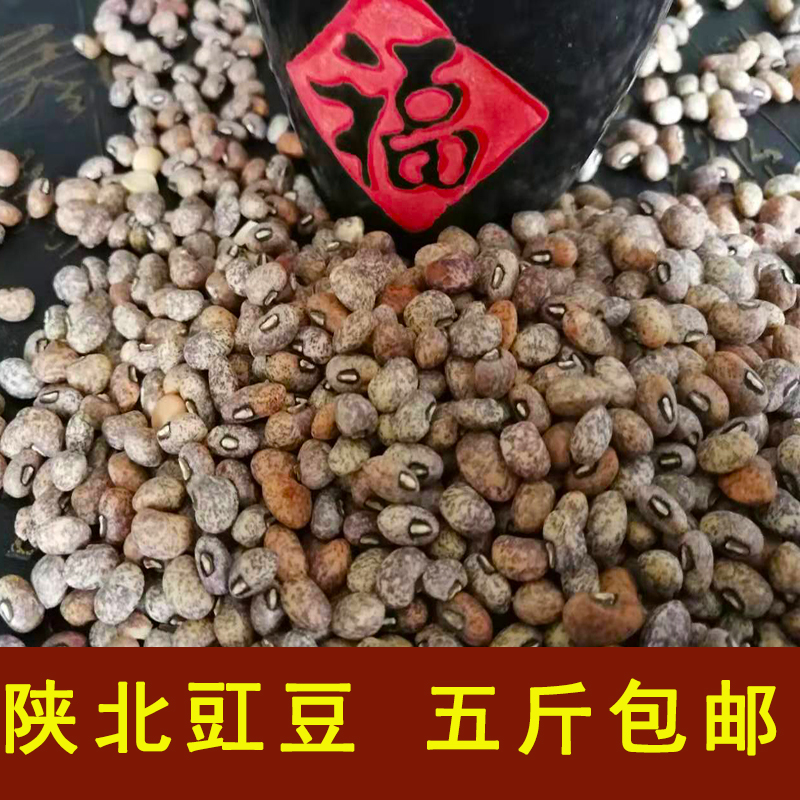 陕北特产新豇豆江豆农家自产老品种麻豇豆梨花豆五谷杂粮煮粥稀饭