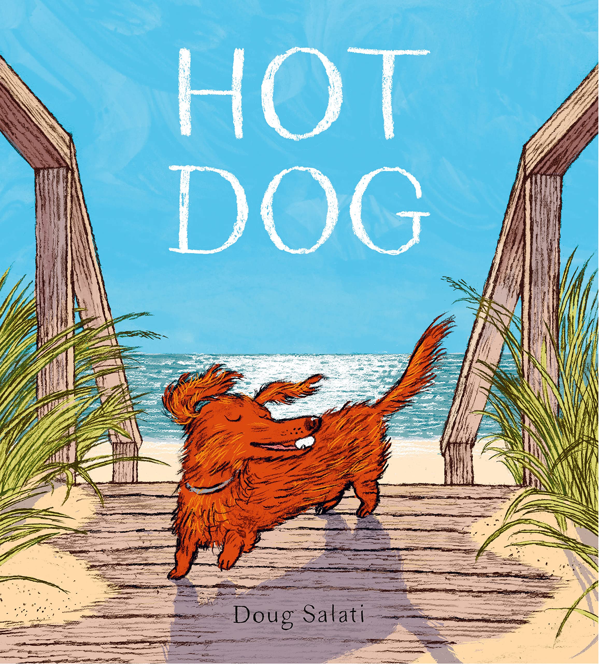 预售 Doug Salati:Hot Dog 凯迪克2023金奖 热狗 儿童文学奖获奖童书 不知所措的小狗 儿童绘本 英文原版 进口图书