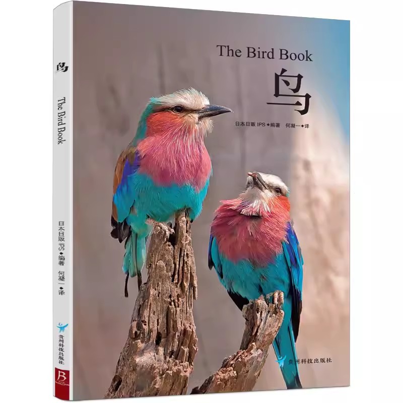 【书】鸟 汇集世界上美丽的52种鸟 珍贵照片鉴赏动物图鉴书 观鸟指南用书 珍惜森林草原野鸟形态鸟类图鉴野生动物百科书籍