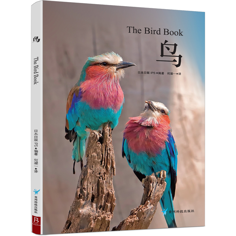 鸟 汇集世界上美丽的52种鸟 珍贵照片鉴赏动物图鉴书  观鸟指南用