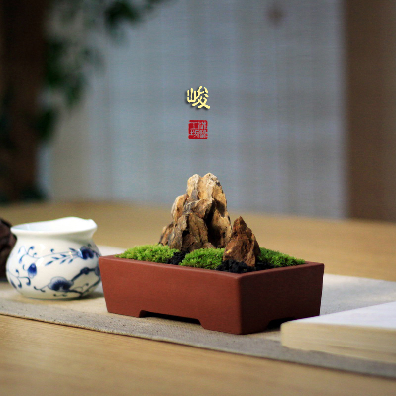 峻苔藓微景观微型盆景枯山水新中式日式禅意茶桌办公桌面盆栽假山