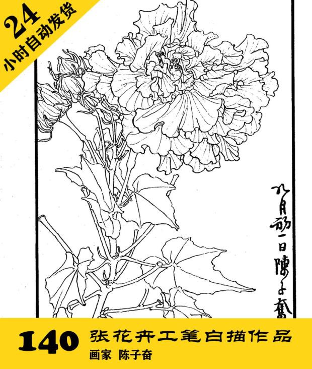 G020 陈子奋花卉工笔白描作品集140张 国画植物线描学习素材