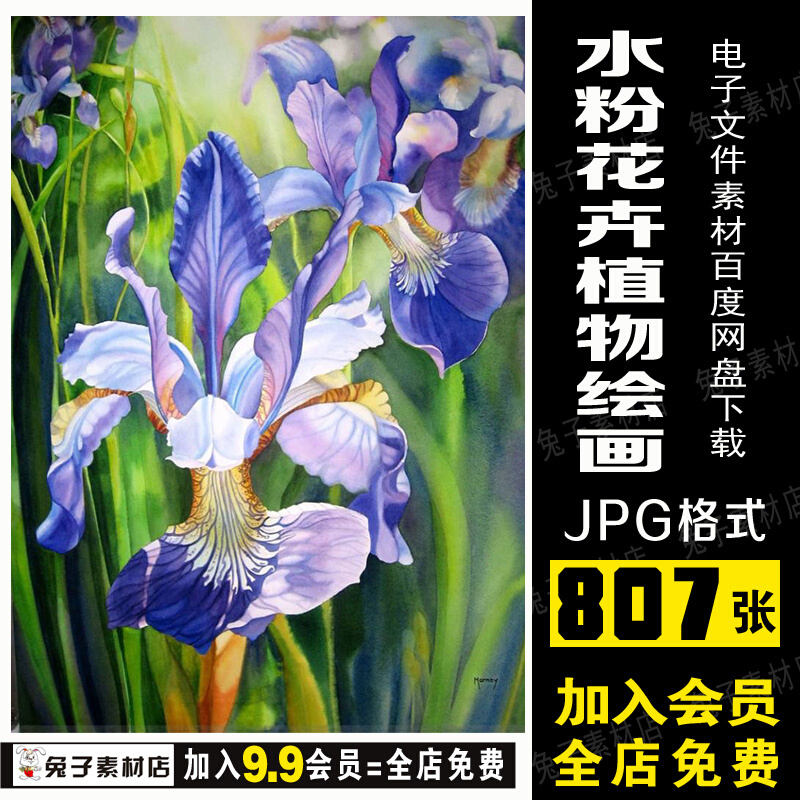 B89美术临摹素材花卉植物牡丹花玫瑰花兰花油画丙烯水粉临摹素材