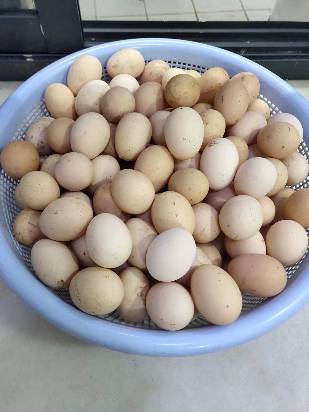 广西河池寿乡农家散养走地鸡山林土鸡蛋新鲜30个装