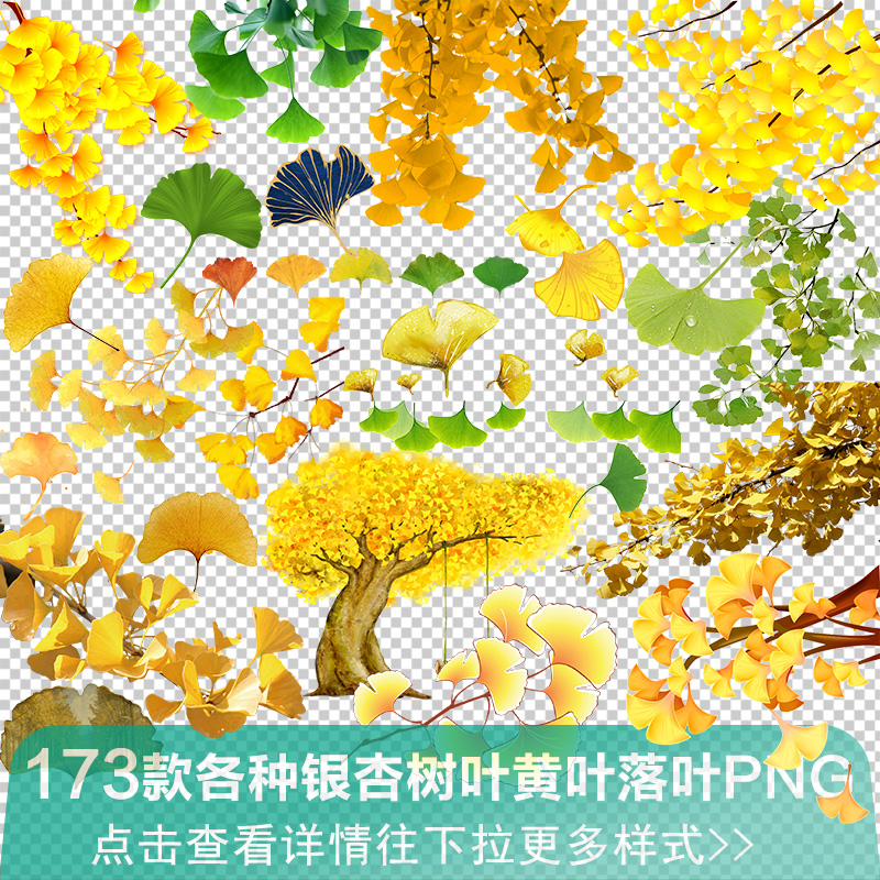 秋天银杏叶金色叶子树叶黄叶落叶插画边框元素png透明免抠素材图