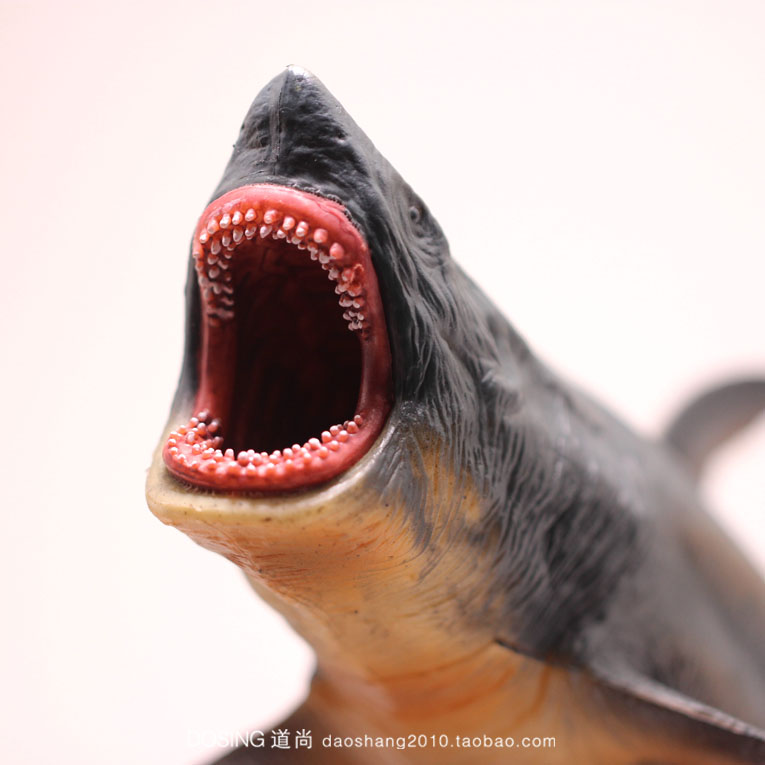 仿真动物 巨齿鲨 大鲨鱼 大白鲨 肉食凶猛动物 模型手办摆件玩具