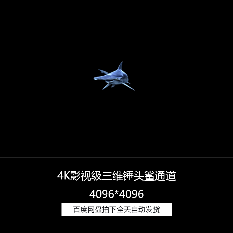 4K影视级三维海底锤头鲨凶猛鲨鱼带透明通道合成高清视频素材