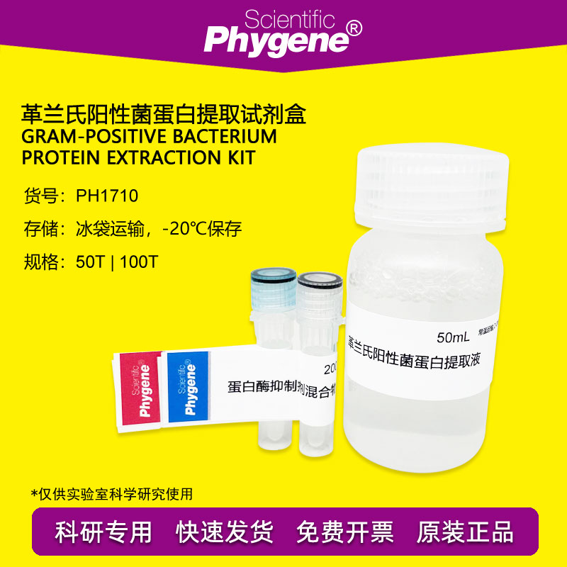 革兰氏阳性菌蛋白提取试剂盒 50T/100T 科研专用 PH1710 PHYGENE